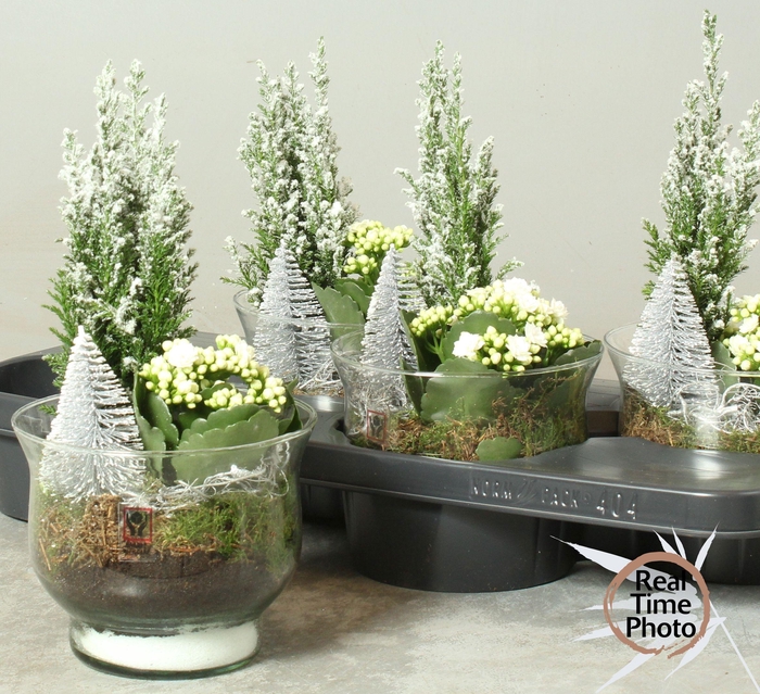 <h4>ARR KAMERPL</h4>