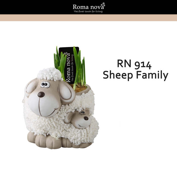 <h4>Narcis Rom 914 Sheep Family</h4>