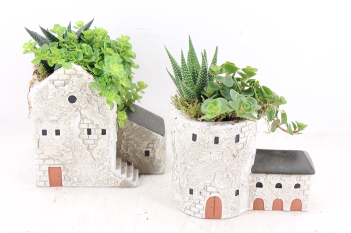 <h4>arr3 SN - Casa de la Torre x8</h4>