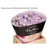 RAN OV MARSHMALLOW VIOLET x30