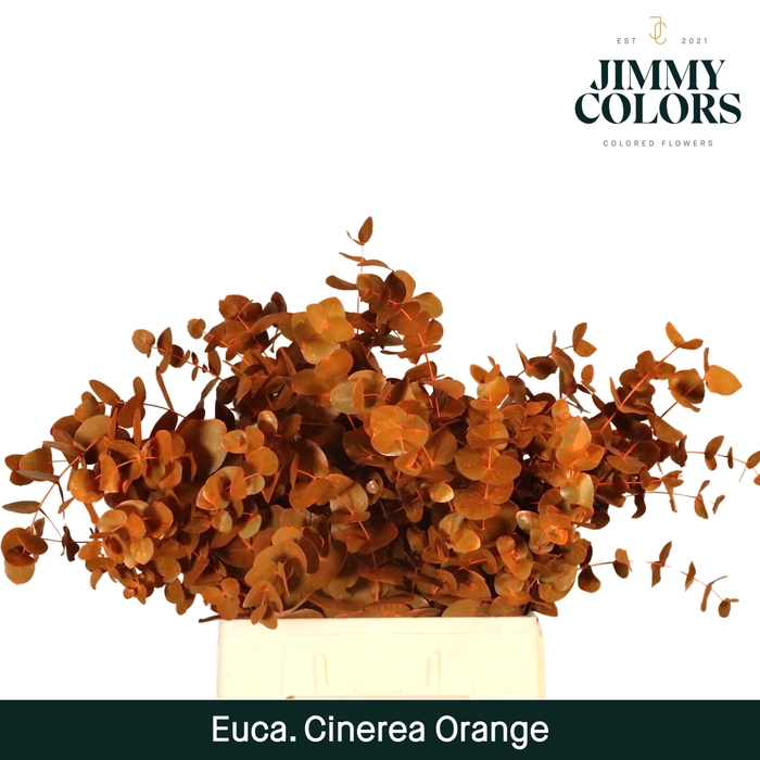 <h4>Cinerea per bos 200g Orange</h4>