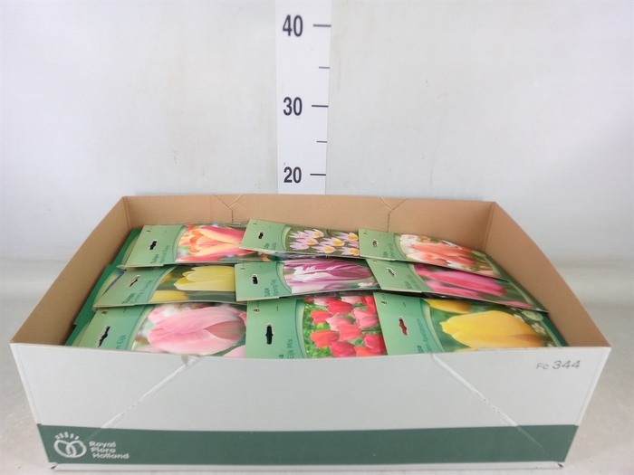 <h4>Flowerbulbs, corns or tubers   ...</h4>