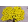 Craspedia Yellow