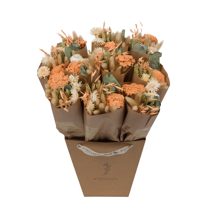 <h4>Dried Bouquet Apricot Market</h4>