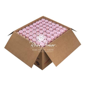 Lplus Bulk Pin04