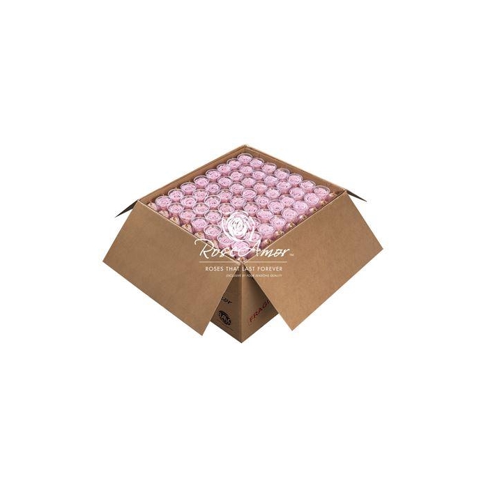 <h4>Xl Bulk Pin04</h4>