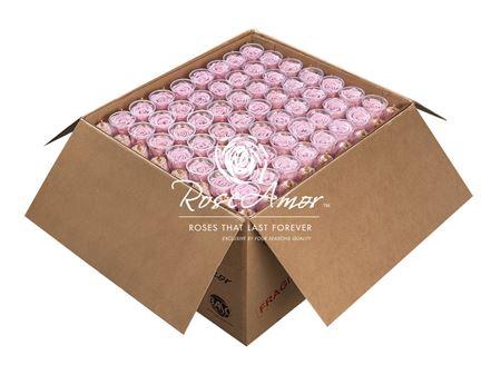 <h4>Lplus Bulk Pin04</h4>