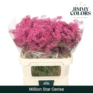 Gyps Million Star L80 Cerise