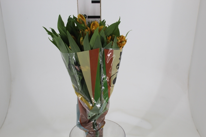 <h4>ALSTROEMERIA GYPSY 070 CM LARANJA</h4>