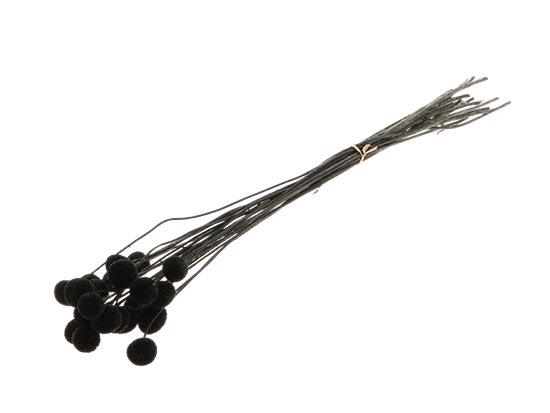 Bunch Craspedia 20pcs L50