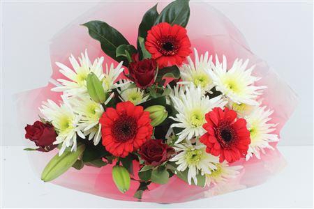 <h4>Boeket Splash Rood</h4>