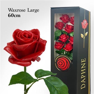 Wax Rose L Red 60cm