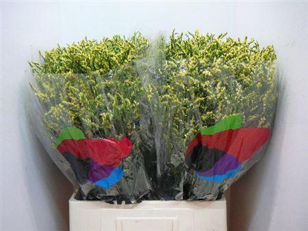 <h4>Lim Sin China Lemon</h4>