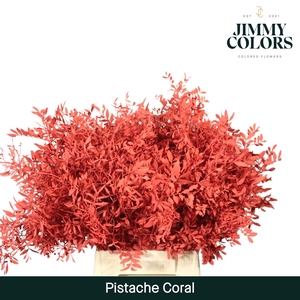 Pistache L50 Coral