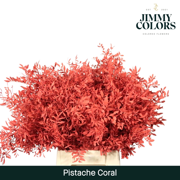 <h4>Pistache L45 Coral</h4>
