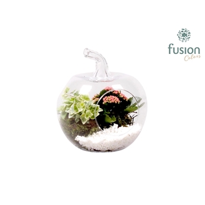 Glazen appel met Arrangement D18.5 H21