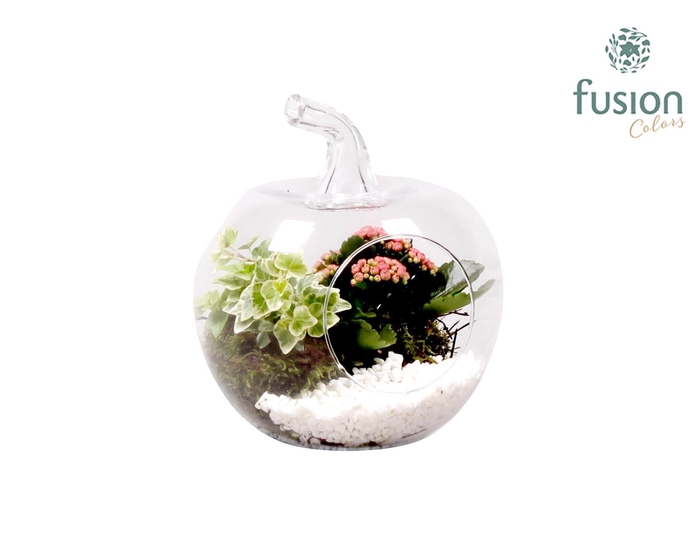 <h4>Glazen appel met Arrangement D18.5 H21</h4>