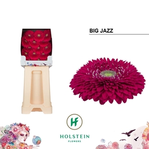 Ge Gb Big Jazz Diamond