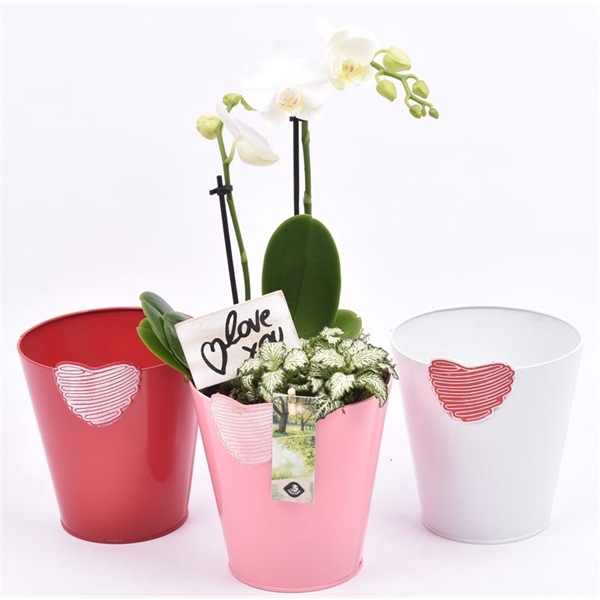 Zink pot bloemdecor k.mix 17cm