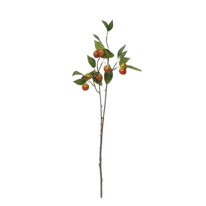 <h4>Plum Claude 76cm</h4>