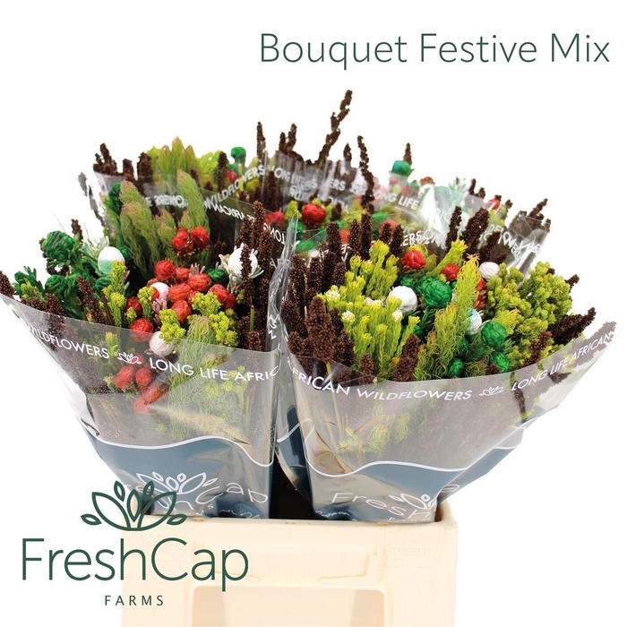 <h4>Bouquet Festive Mix</h4>