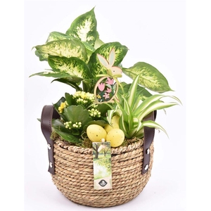 Touwmand met leer handv.18-20cm