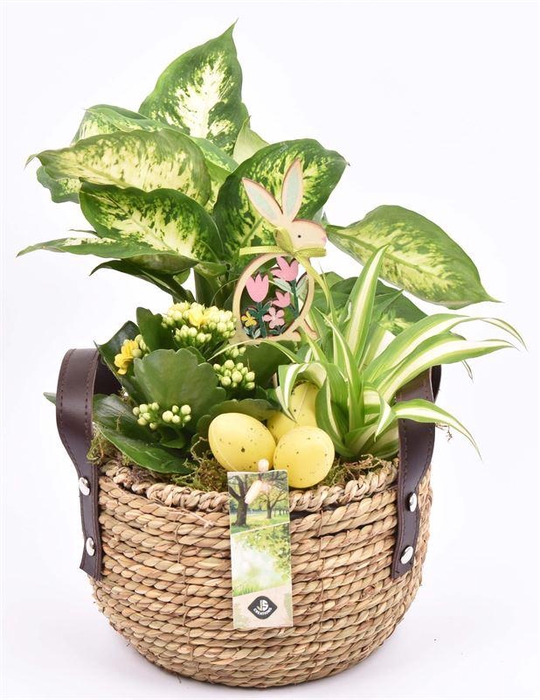 <h4>Touwmand met leer handv.18-20cm</h4>