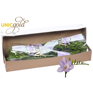 UG Mol - Blue Moon box