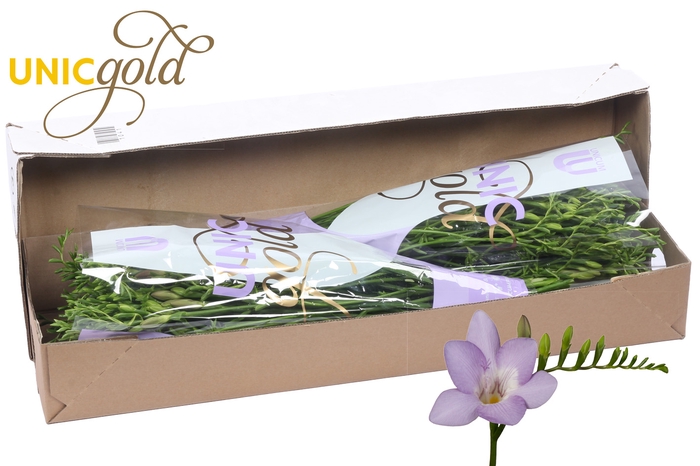 <h4>UG Barendse - Blue Moon box</h4>