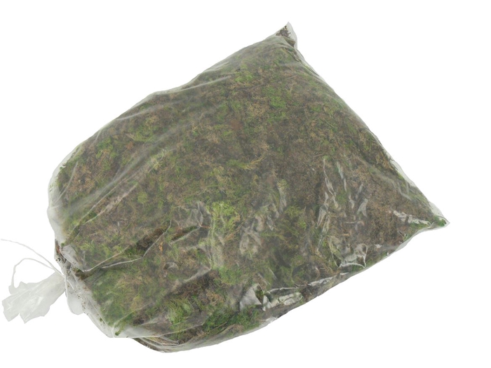 <h4>Mos Sphagnum ( Plastic Zak Groot )</h4>