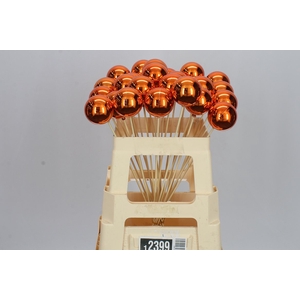 X-mas Balls Copper X25