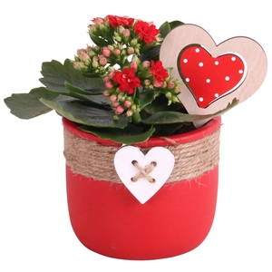 Valentine Arr. Indoor Ceramic Pot Round Rope Heart Red Ø11cm 1PP