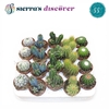 CACTUS GEM