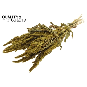 Amaranthus per bunch Yellow