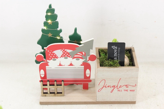 <h4>arr4 Hyacint RN - Traditional truck LED</h4>