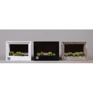 Houten schilderij met spiegel hout met Succulenten