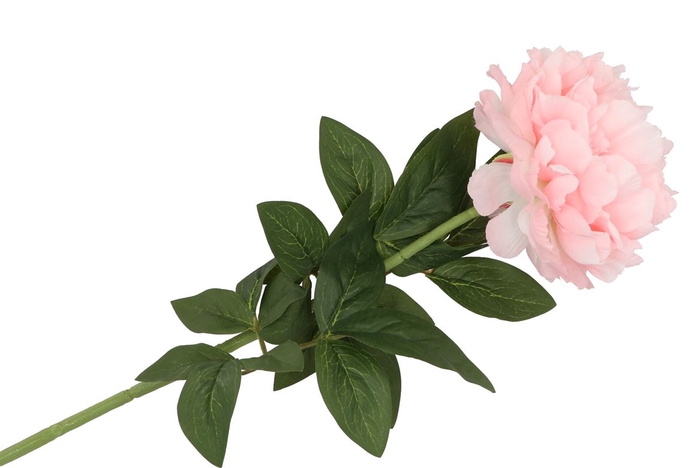 <h4>Silk Peony Tak Light Pink 71cm</h4>