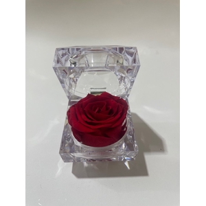 Jewelry box red