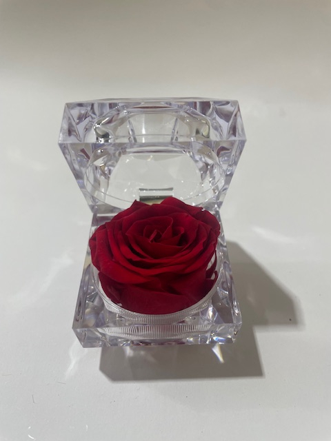 <h4>Jewelry box red</h4>