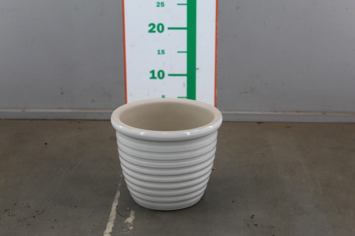 TERRACOTTA POT D15XH15