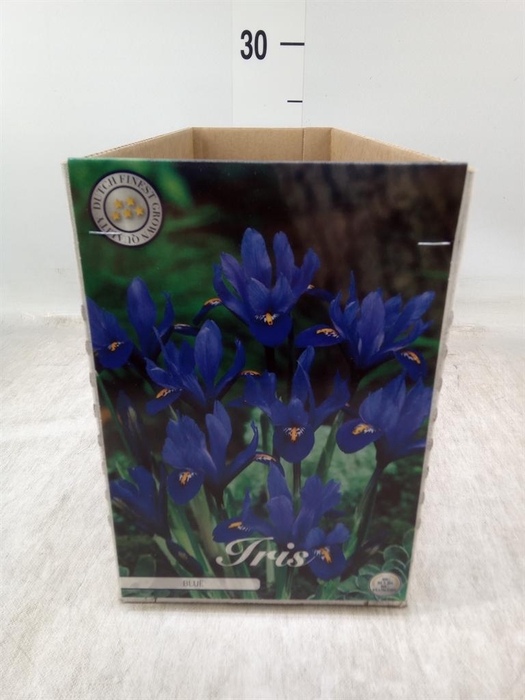 <h4>Flowerbulbs, corns or tubers   ...</h4>