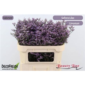 Lim Saf Lilac