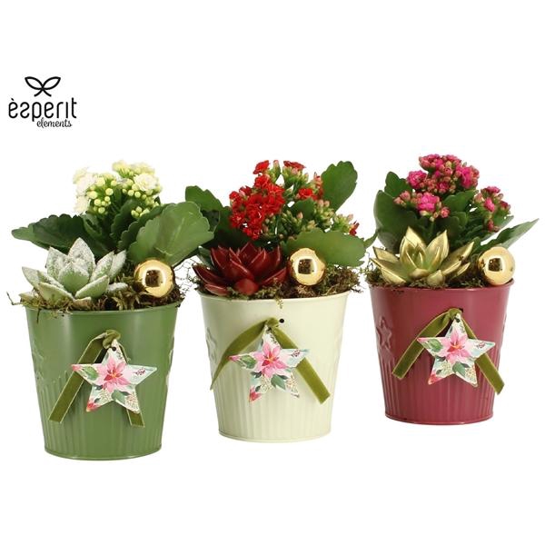 <h4>Arrangementen Kerst 6%</h4>