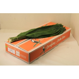 CORDELINE GREEN TIE 80 CM TUKAN