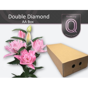 LI OR DU DOU DIAMOND AA doos 4+