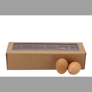 Egg Chickens Blown Out Brown P/12