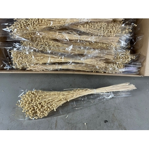 DF linium(Vlas)Bleach Bs 100g