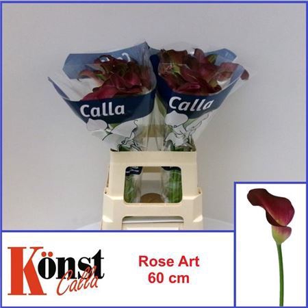 <h4>Zant Rose Art</h4>