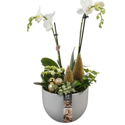 <h4>PTCHG5628 Arrangement Christmas Gold in keramiek p</h4>