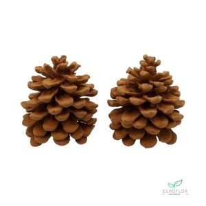 PINECONE CINNAMON BROWN 2PCS scented